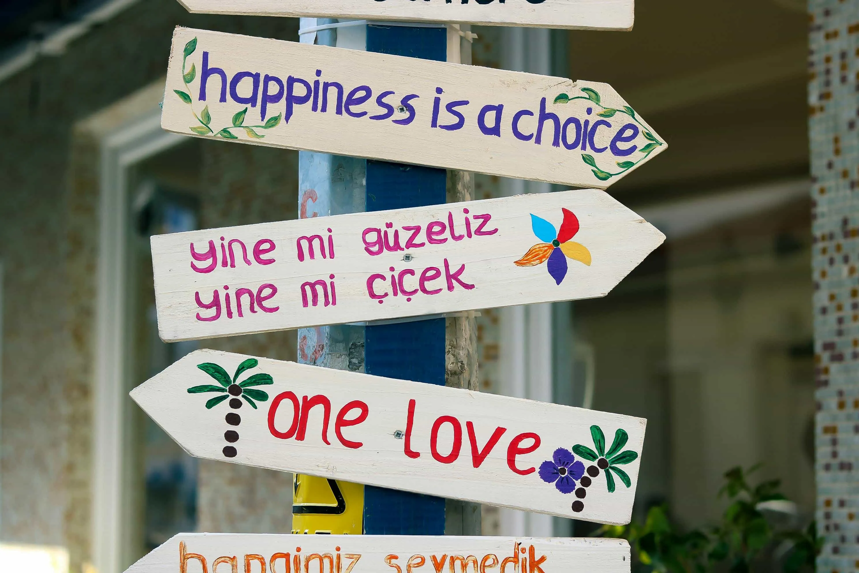Tại sao tình yêu là một lựa chọn bạn thực hiện mỗi ngày